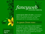 Fancy Web